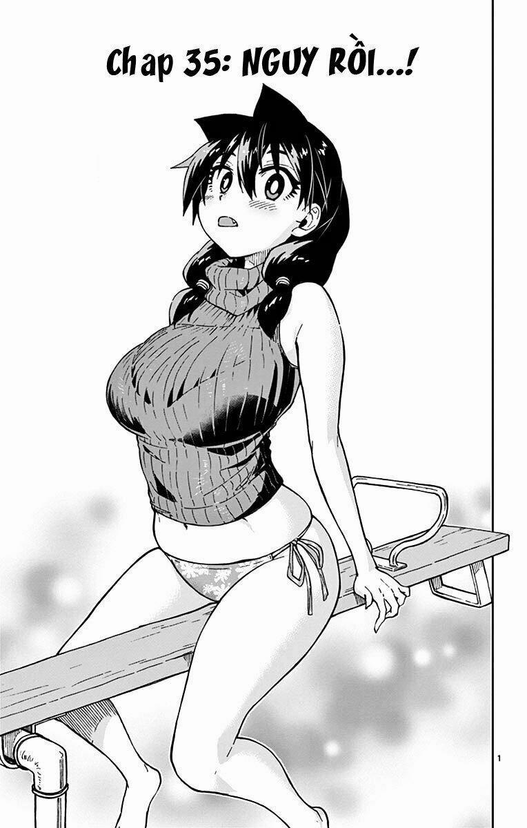 Amano Megumi Wa Suki Darake! 35 trang 1