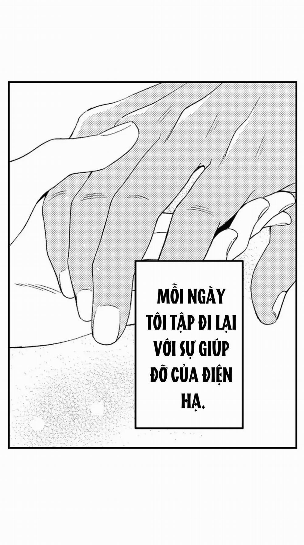 Amaregulus: Chiến Binh & Soother 4 trang 6