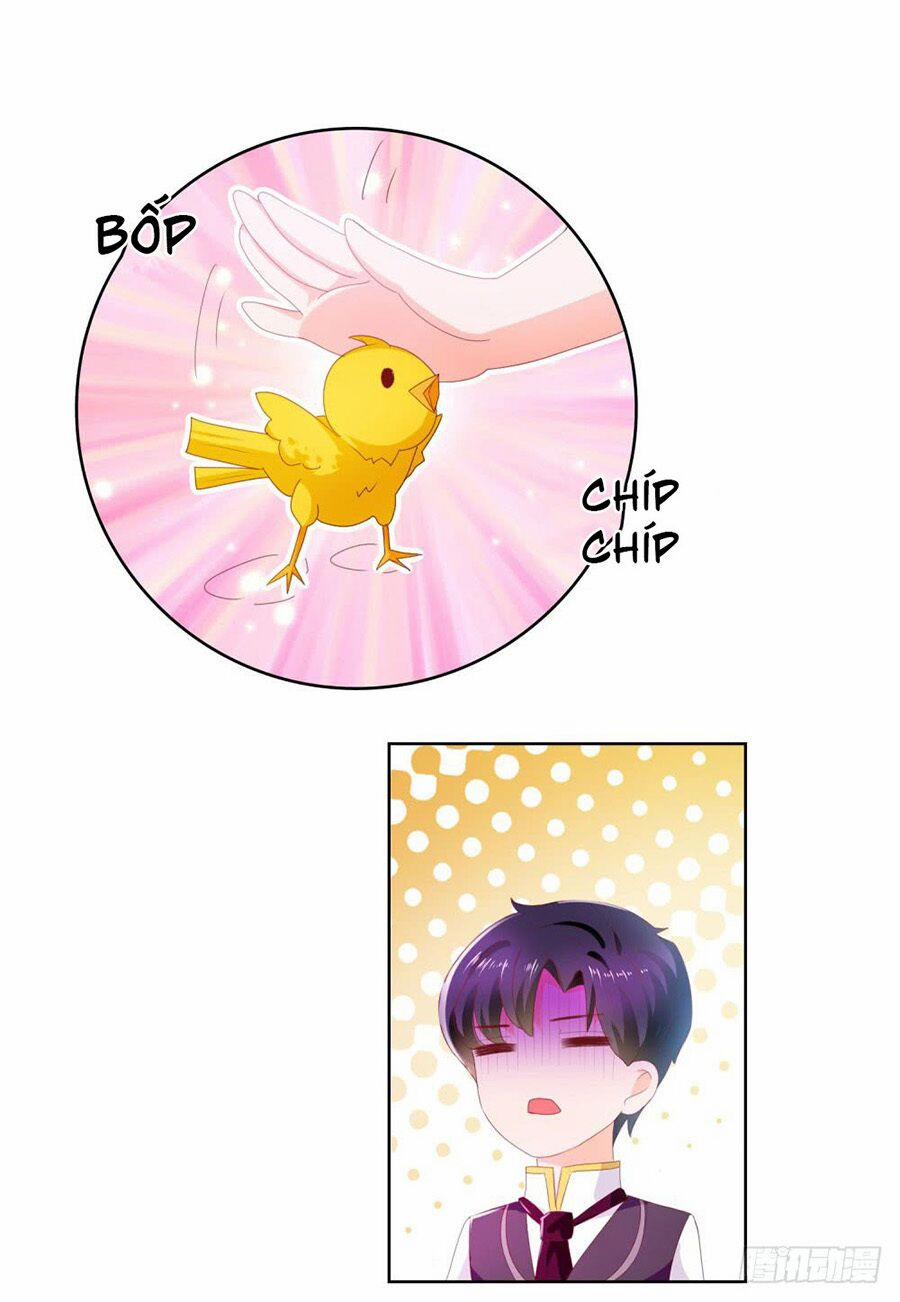 Ẩn Hôn 100%: Chọc Tức Vợ Yêu Mua Một Tặng Một 17 trang 29