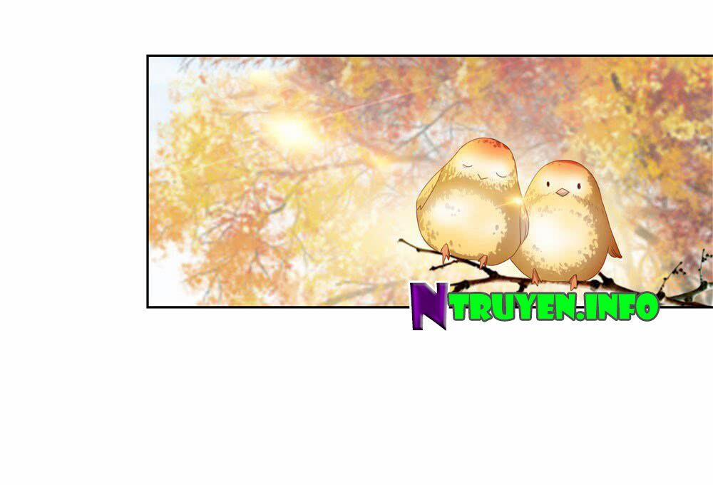 Ẩn Hôn 100%: Chọc Tức Vợ Yêu Mua Một Tặng Một 29 trang 14