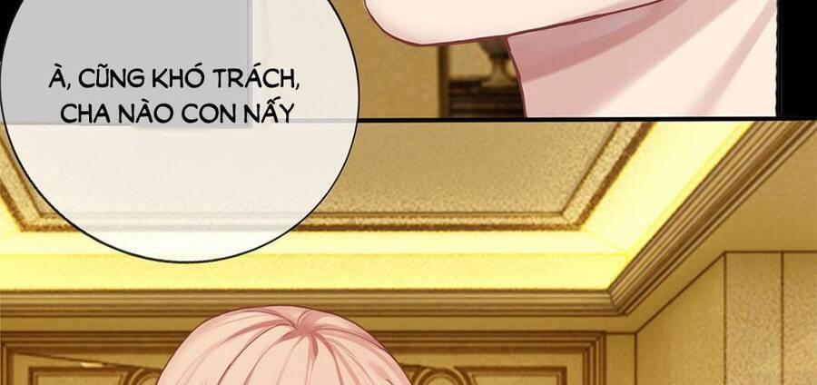 Ẩn Hôn Mật Ái: Cô Vợ Nhỏ Của Tổng Tài Tàn Nhẫn 1 trang 15