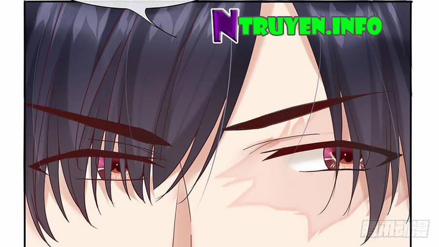 Ẩn Hôn Mật Ái: Cô Vợ Nhỏ Của Tổng Tài Tàn Nhẫn 10 trang 19