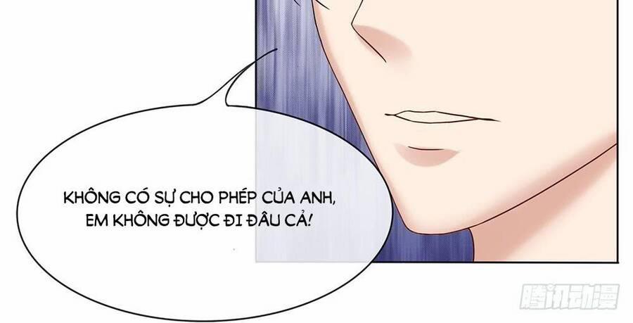 Ẩn Hôn Mật Ái: Cô Vợ Nhỏ Của Tổng Tài Tàn Nhẫn 16 trang 2