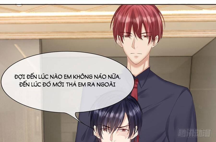 Ẩn Hôn Mật Ái: Cô Vợ Nhỏ Của Tổng Tài Tàn Nhẫn 18 trang 2