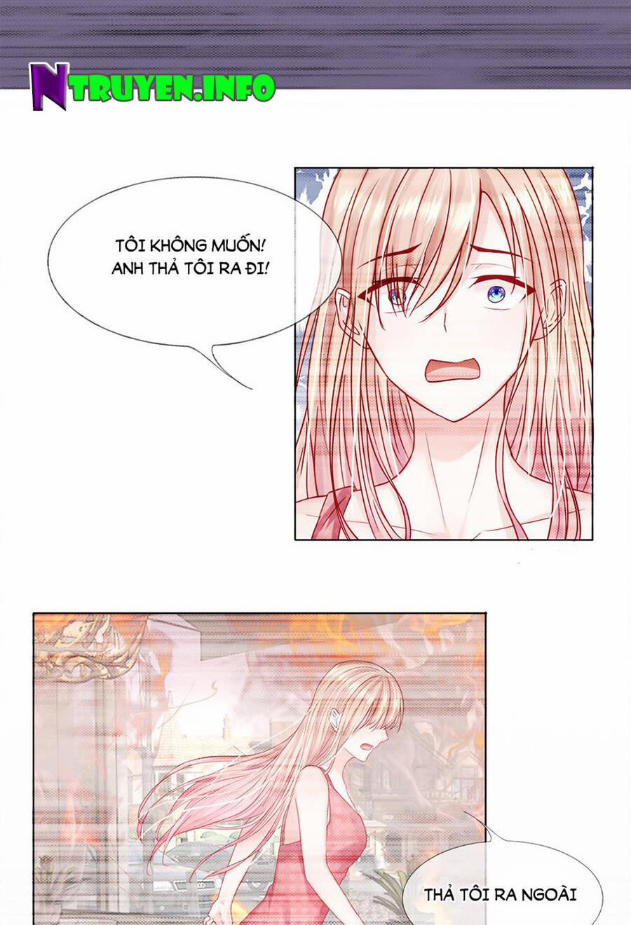 Ẩn Hôn Mật Ái: Cô Vợ Nhỏ Của Tổng Tài Tàn Nhẫn 26 trang 5