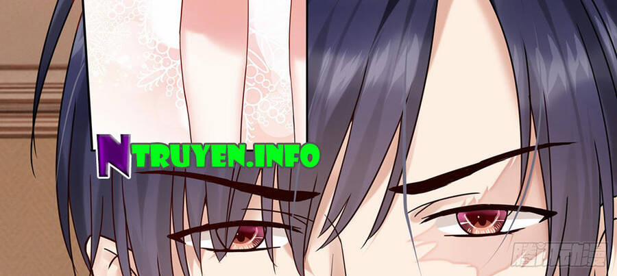 Ẩn Hôn Mật Ái: Cô Vợ Nhỏ Của Tổng Tài Tàn Nhẫn 8 trang 24