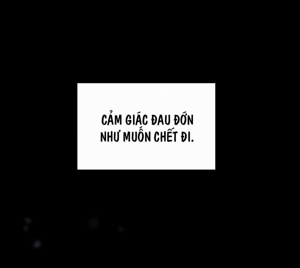 Ân Huệ 15 trang 24