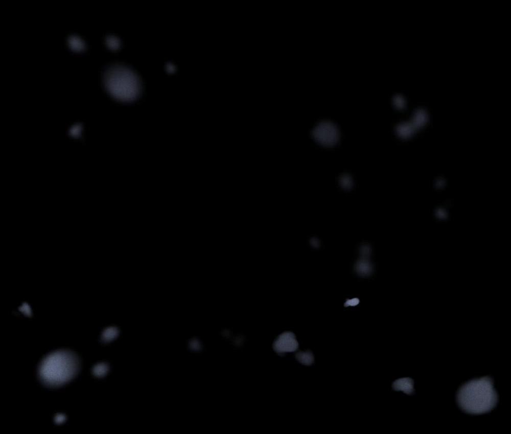 Ân Huệ 15 trang 25