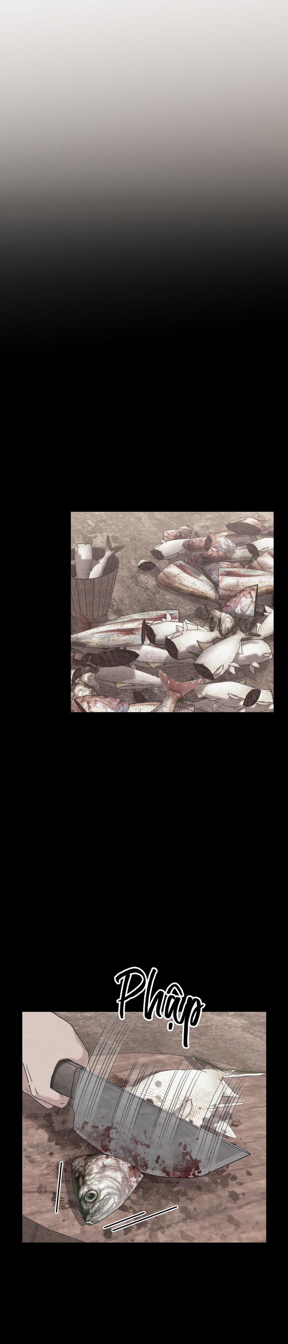 ĂN MỘT LỜI HAI 13 trang 13