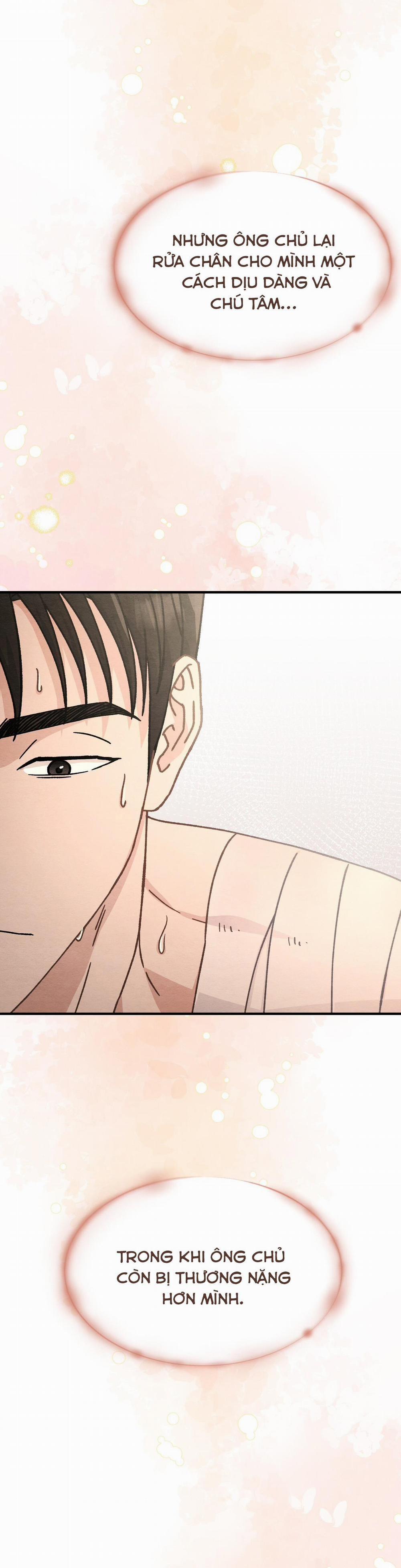 ĂN MỘT LỜI HAI 15 trang 29