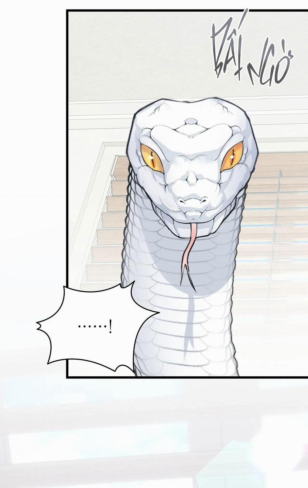 ÂN NHÂN CỦA RẮN 13 trang 41