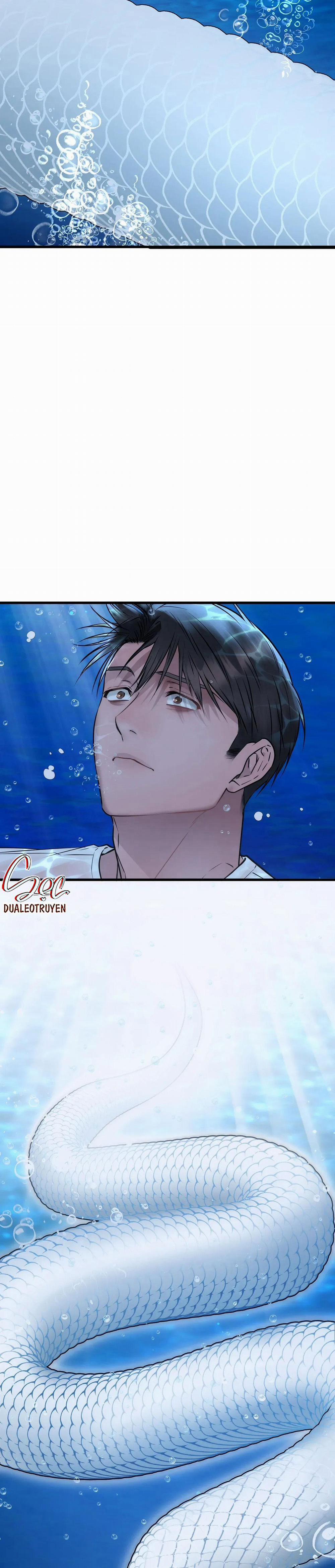 ÂN NHÂN CỦA RẮN 20 trang 4