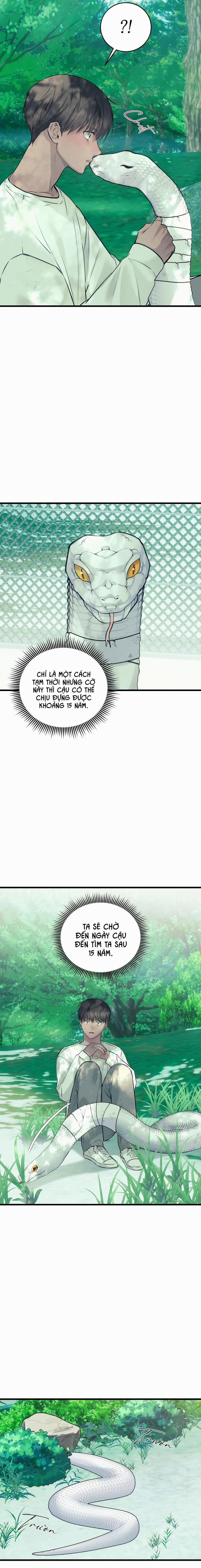 ÂN NHÂN CỦA RẮN 22 trang 11