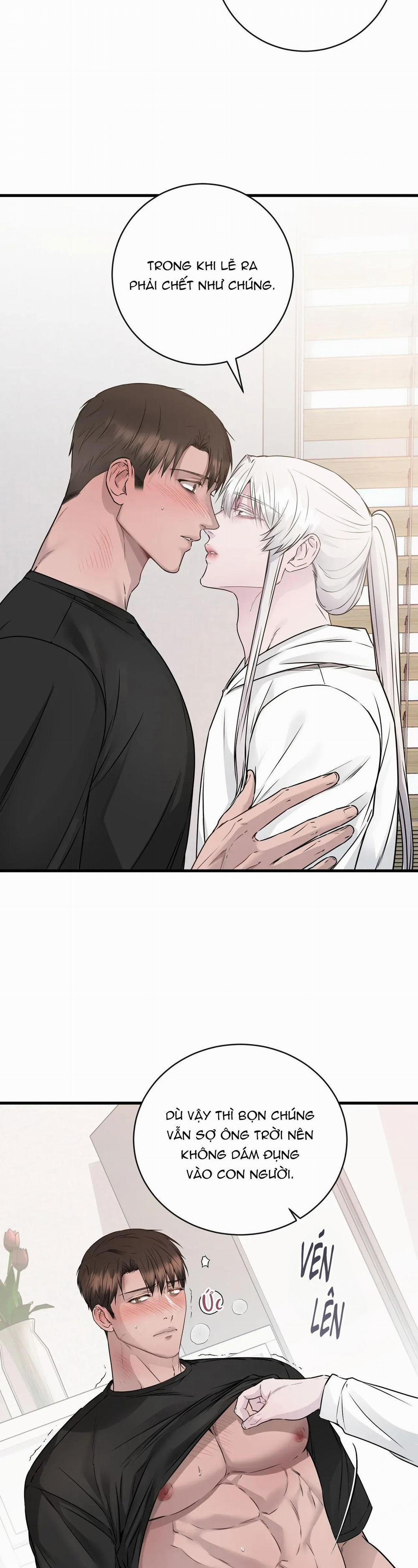 ÂN NHÂN CỦA RẮN 4 trang 21