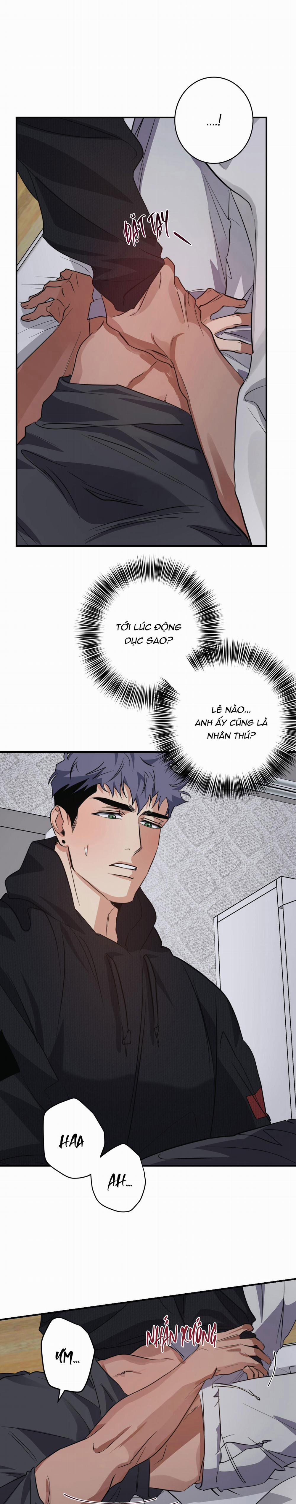 An Toàn Là Trên Hết 2 trang 17