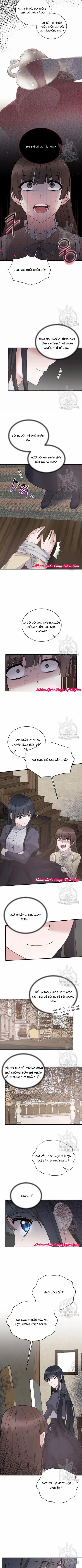 Angelic Lady 55.5 trang 0