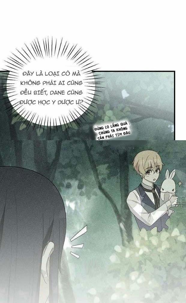 Angelic Lady 67.5 trang 28