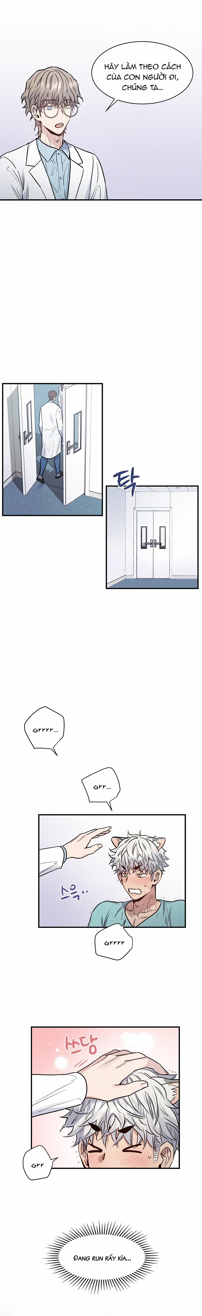 Anh À! Em Đã Lớn Rồi! 2 trang 5