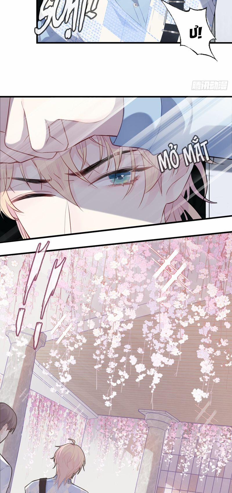 Anh Ấy Chưa Từng Rơi Xuống 31 trang 20