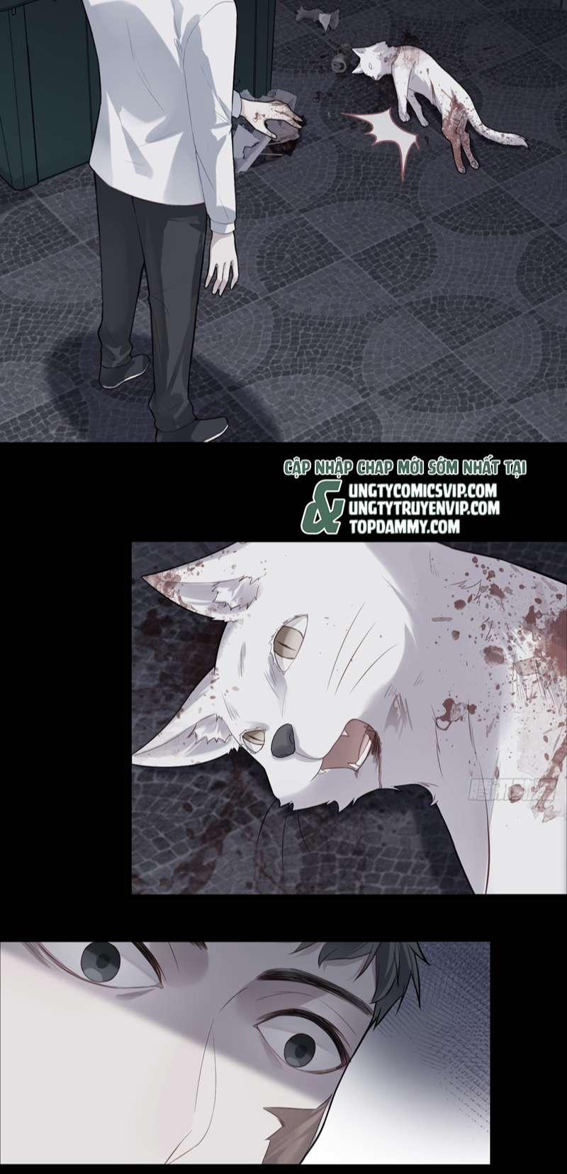 Anh Ấy Chưa Từng Rơi Xuống 35 trang 15