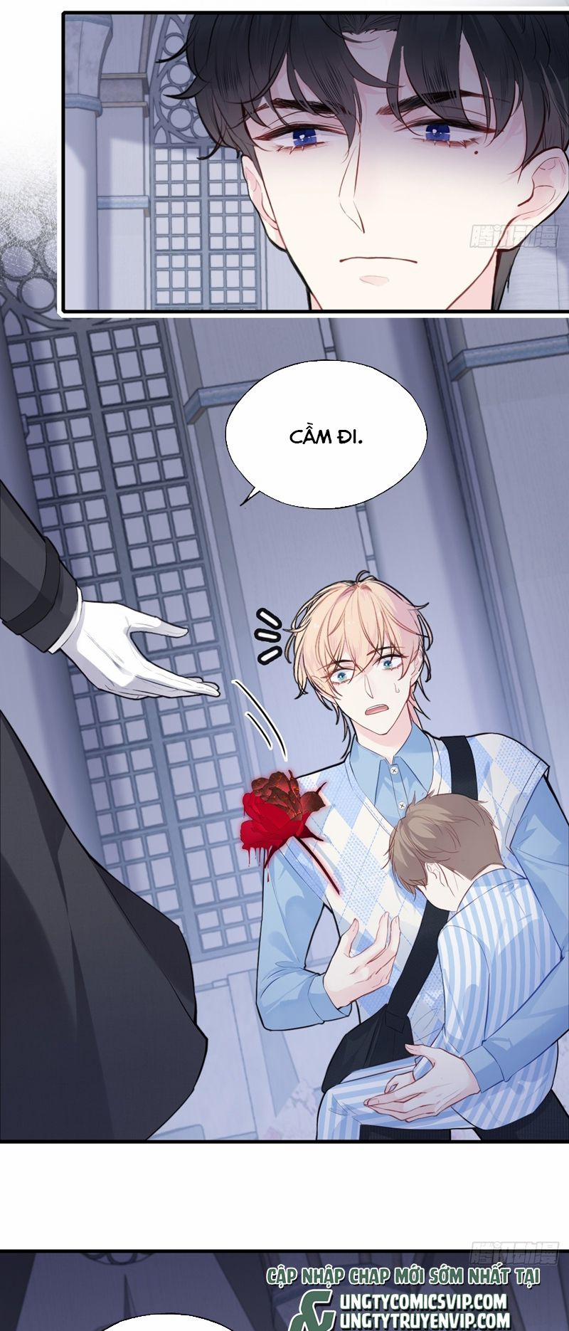 Anh Ấy Chưa Từng Rơi Xuống 38 trang 24