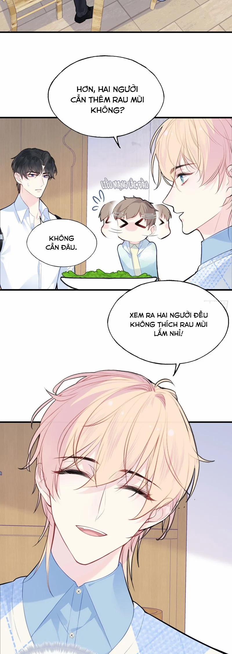 Anh Ấy Chưa Từng Rơi Xuống 55 trang 3