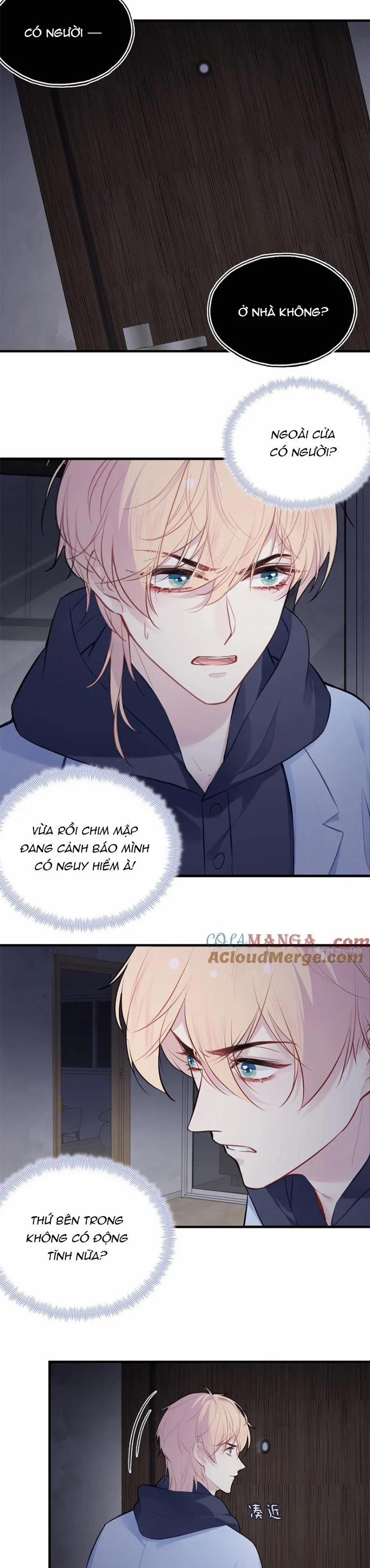 Anh Ấy Chưa Từng Rơi Xuống 71 trang 4