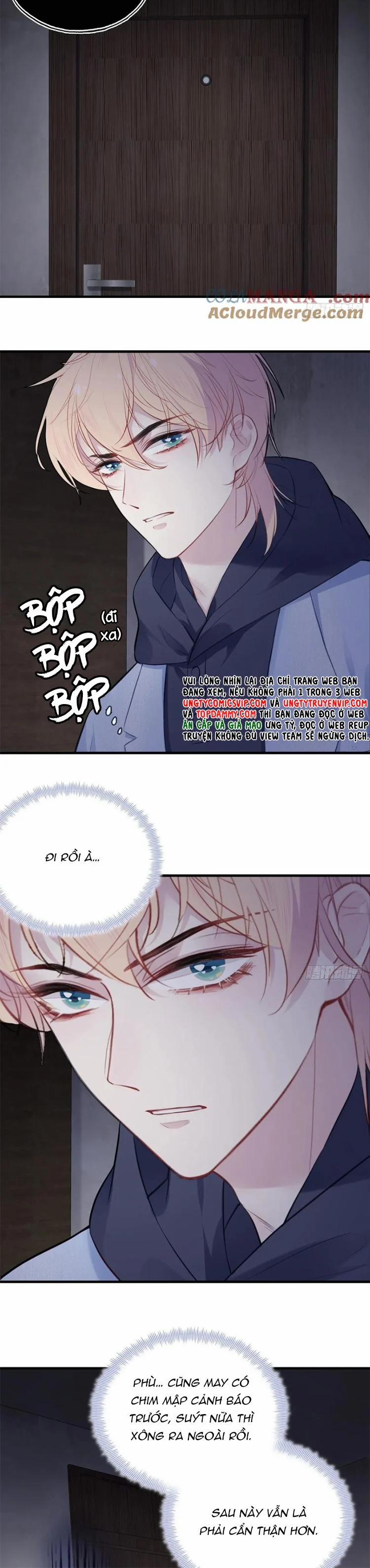 Anh Ấy Chưa Từng Rơi Xuống 71 trang 8