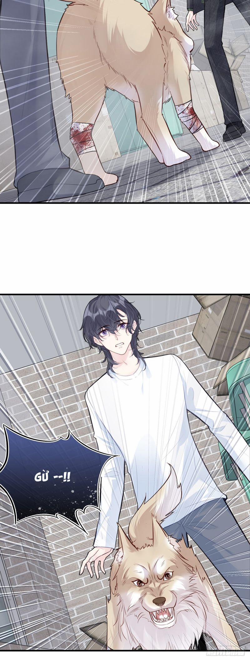 Anh Ấy Chưa Từng Rơi Xuống 78 trang 13