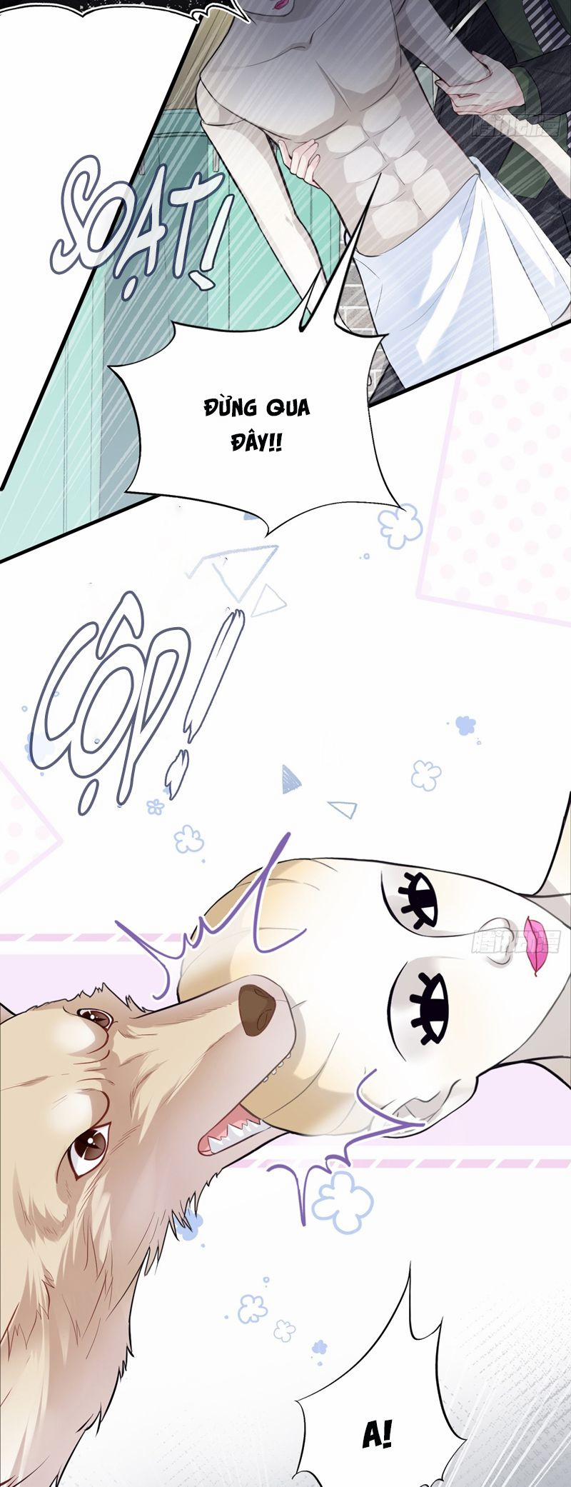 Anh Ấy Chưa Từng Rơi Xuống 78 trang 15