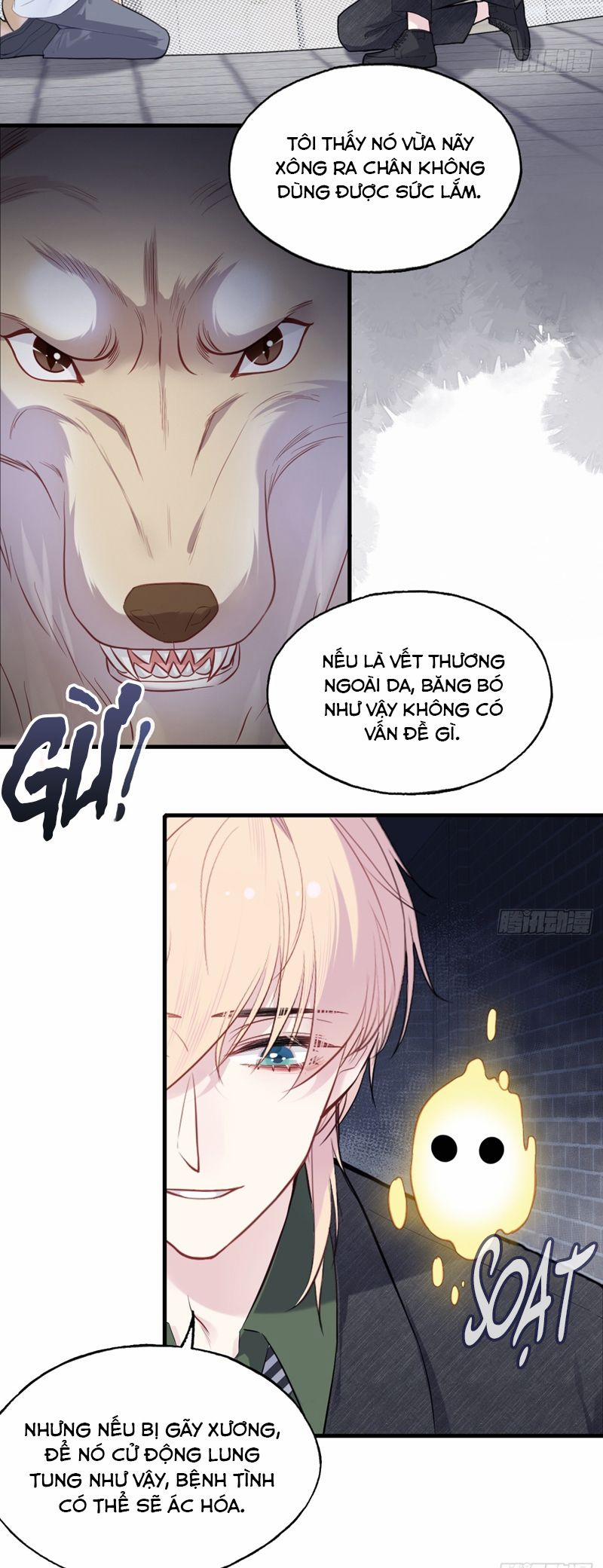 Anh Ấy Chưa Từng Rơi Xuống 78 trang 23