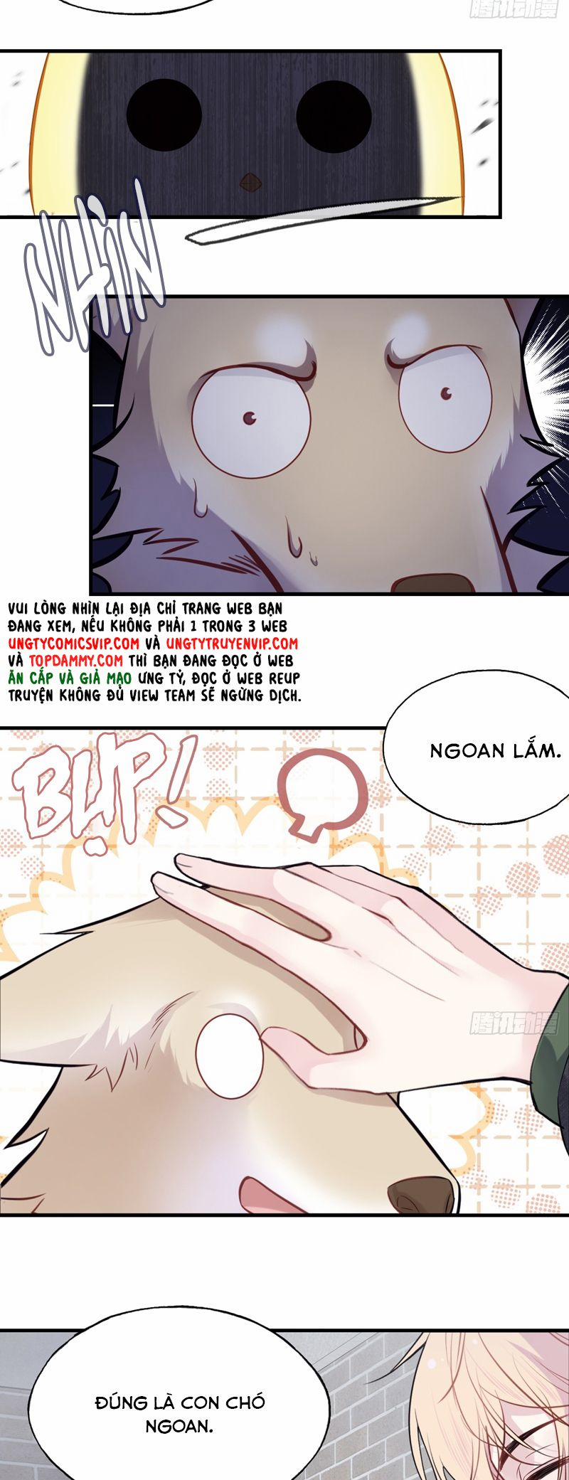 Anh Ấy Chưa Từng Rơi Xuống 78 trang 24