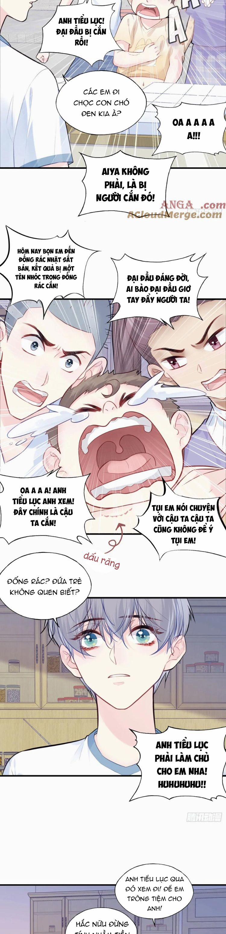 Anh Ấy Chưa Từng Rơi Xuống 86 trang 12