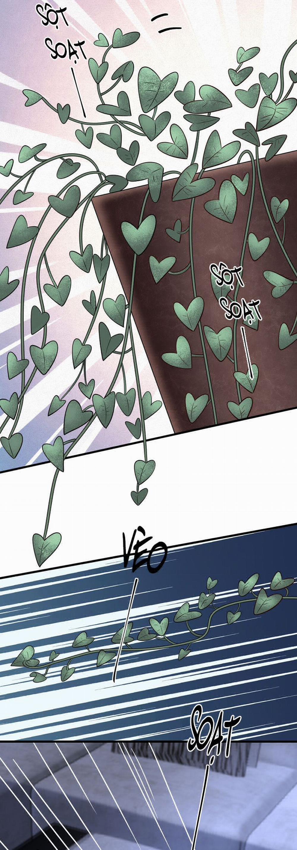 Anh Ấy Đến Từ Màn Đêm 63 trang 24