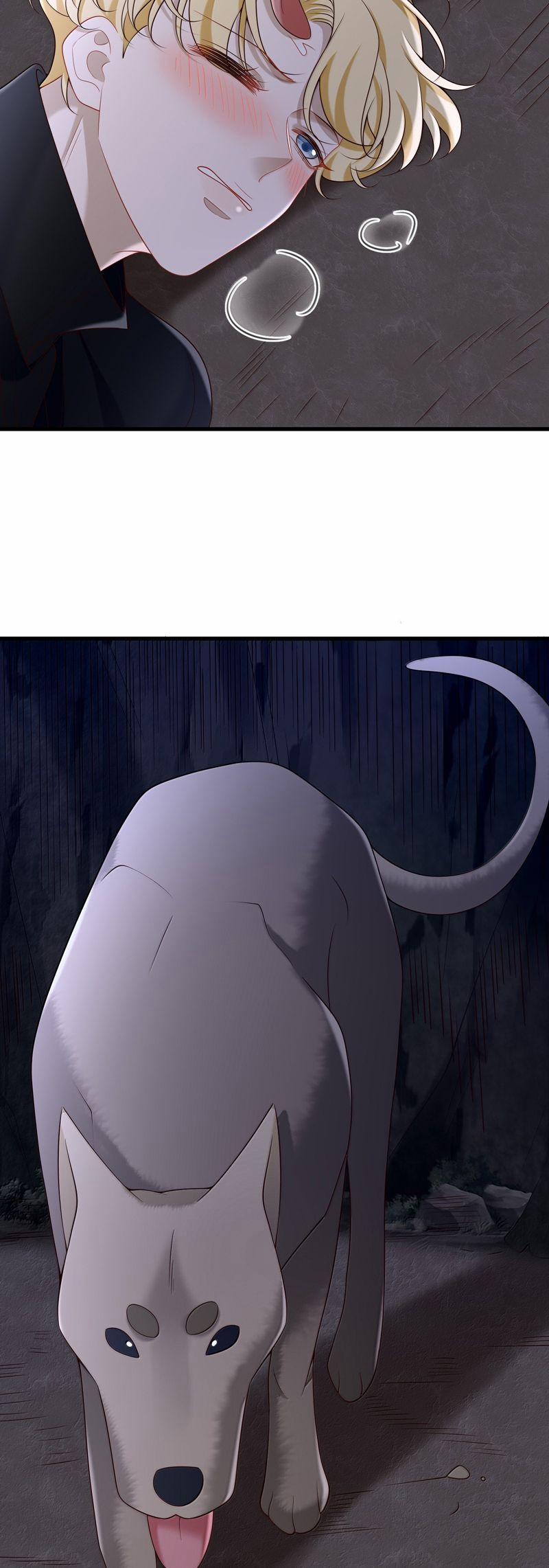 Anh Ấy Đến Từ Màn Đêm 77 trang 21