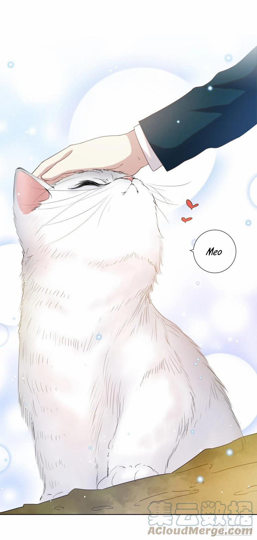 Anh Ấy Nói Tôi Là Hắc Liên Hoa 131 trang 8