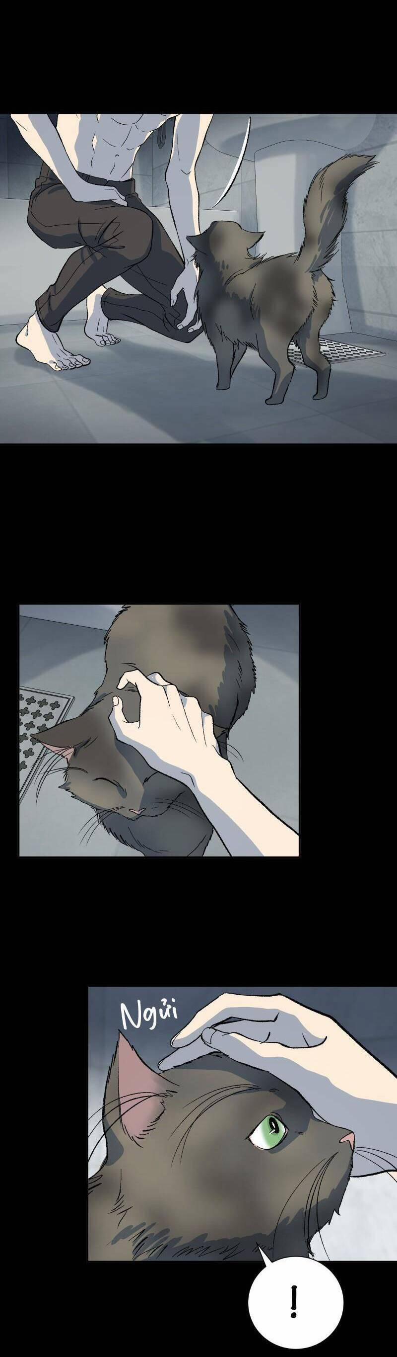 Anh Chàng Lầu Trên 15 trang 3