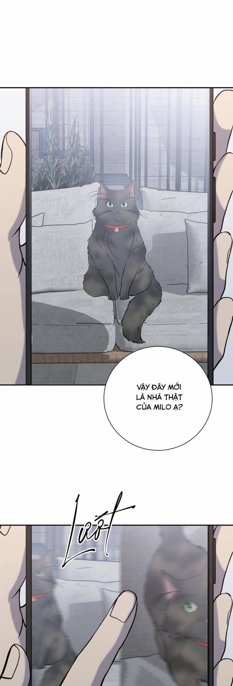 Anh Chàng Lầu Trên 27 trang 1