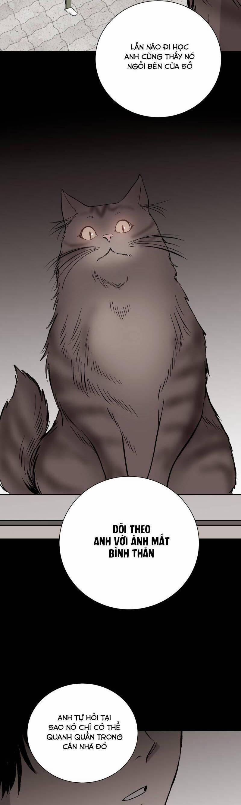 Anh Chàng Lầu Trên 27 trang 6