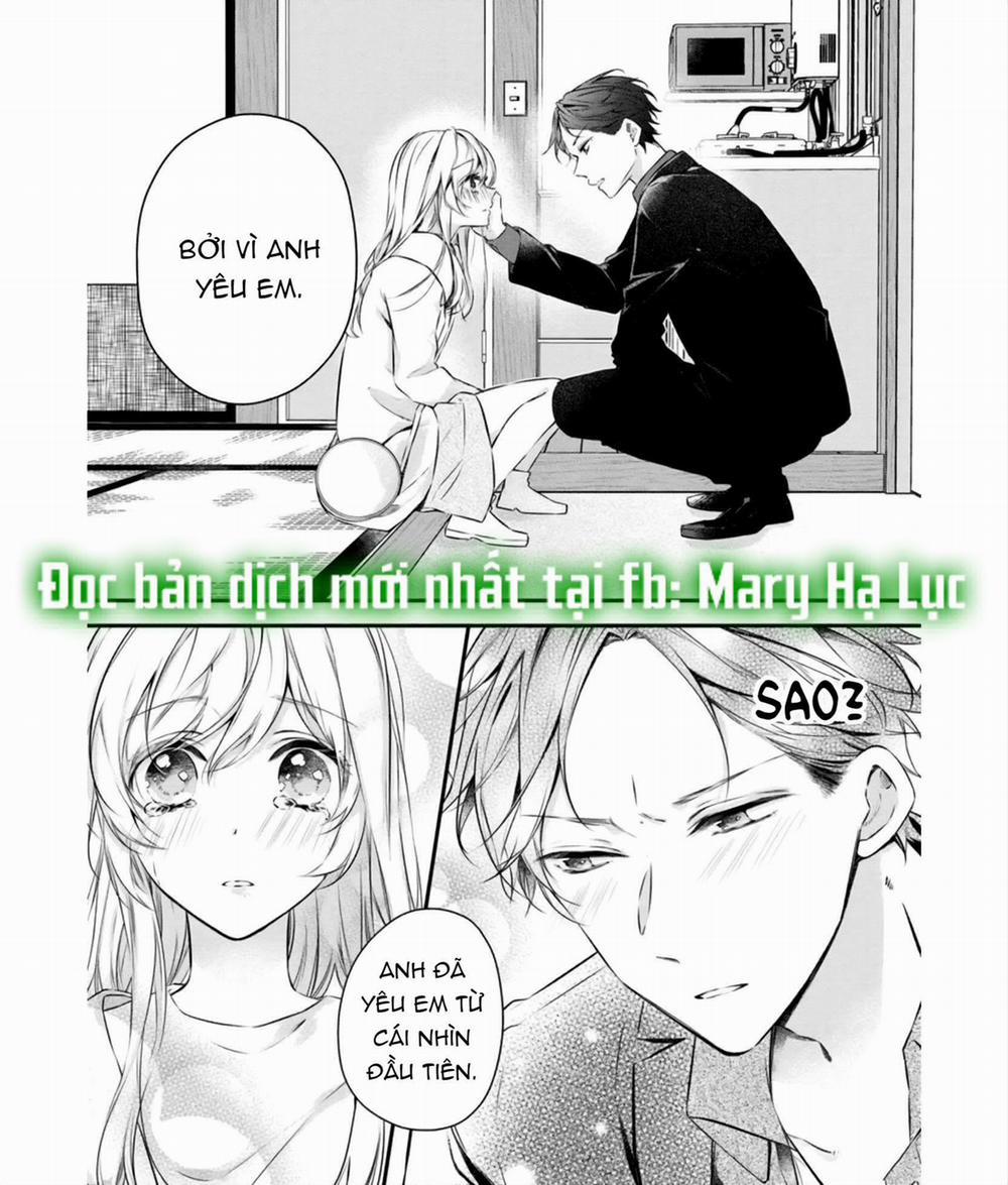 Anh Chàng Tsundere Và Cô Nàng Chippai-Chan: Chàng Yakuza Cưng Chiều Và Bao Nuôi Tôi 1.3 trang 1