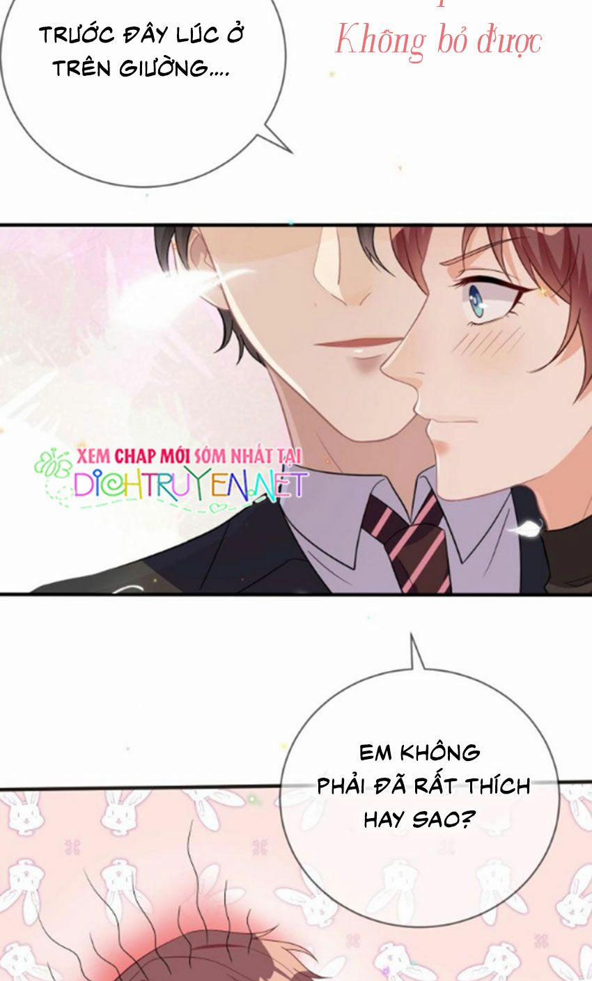 Ảnh Đế Làm Loạn Đòi Ly Hôn 11 trang 1