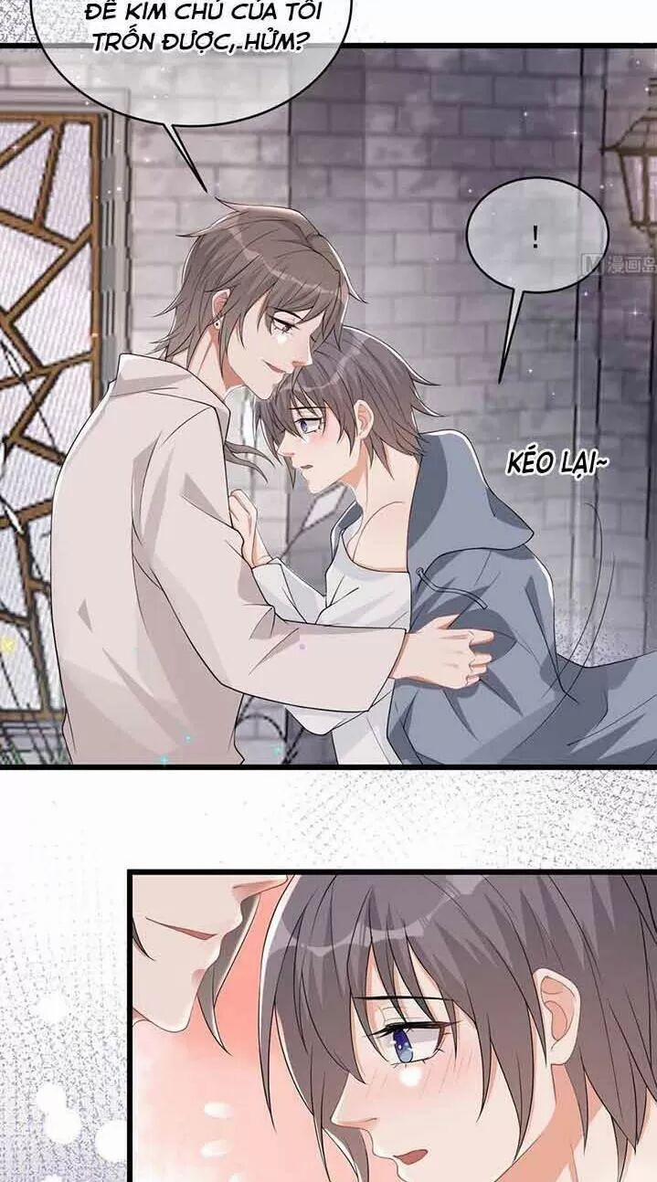 Ảnh Đế Làm Loạn Đòi Ly Hôn 32 trang 16