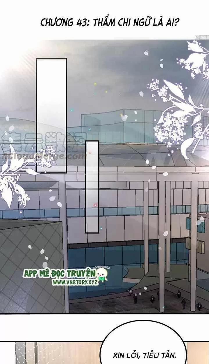 Ảnh Đế Làm Loạn Đòi Ly Hôn 43 trang 0