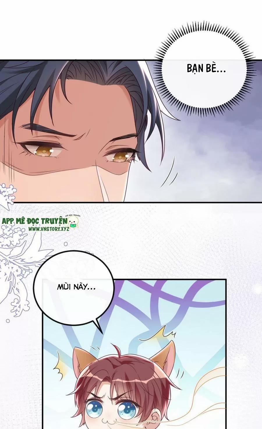 Ảnh Đế Làm Loạn Đòi Ly Hôn 55 trang 16