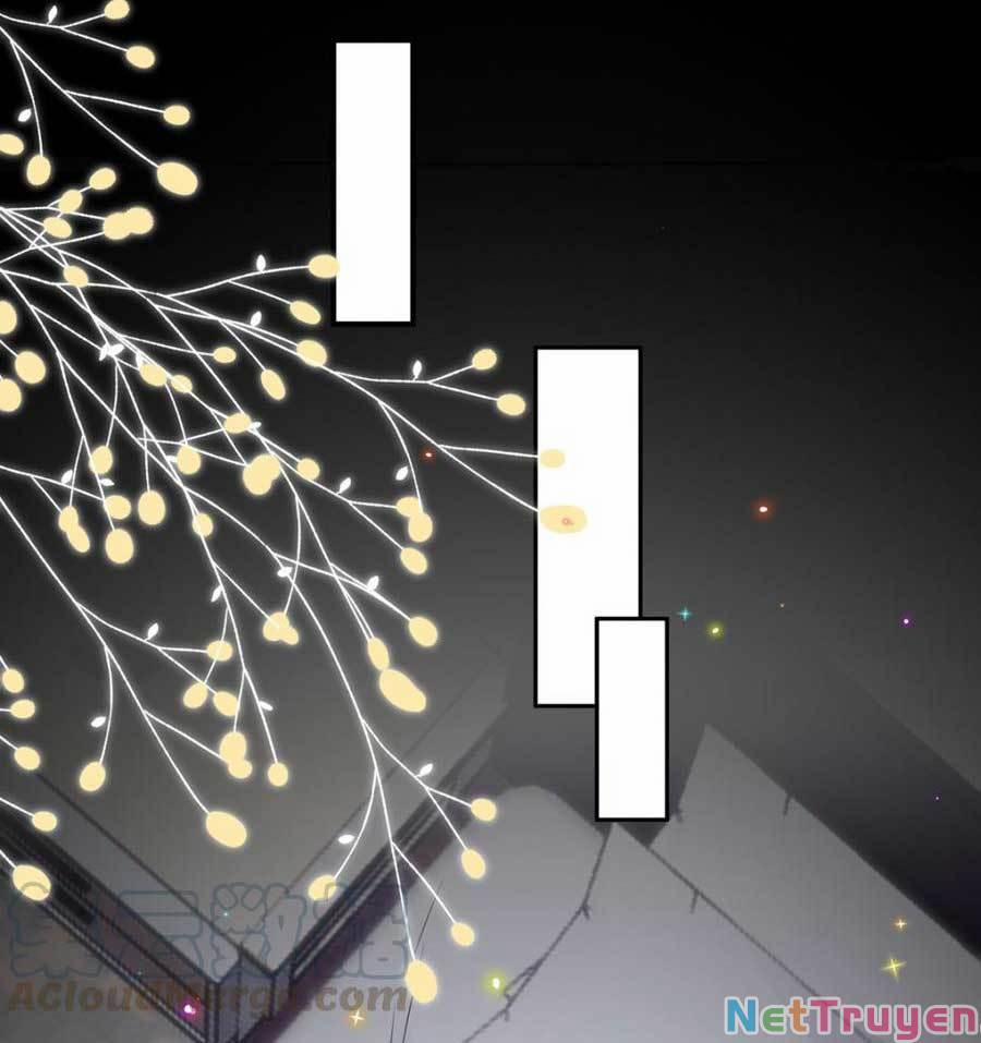 Ảnh Đế Làm Loạn Đòi Ly Hôn 64 trang 15