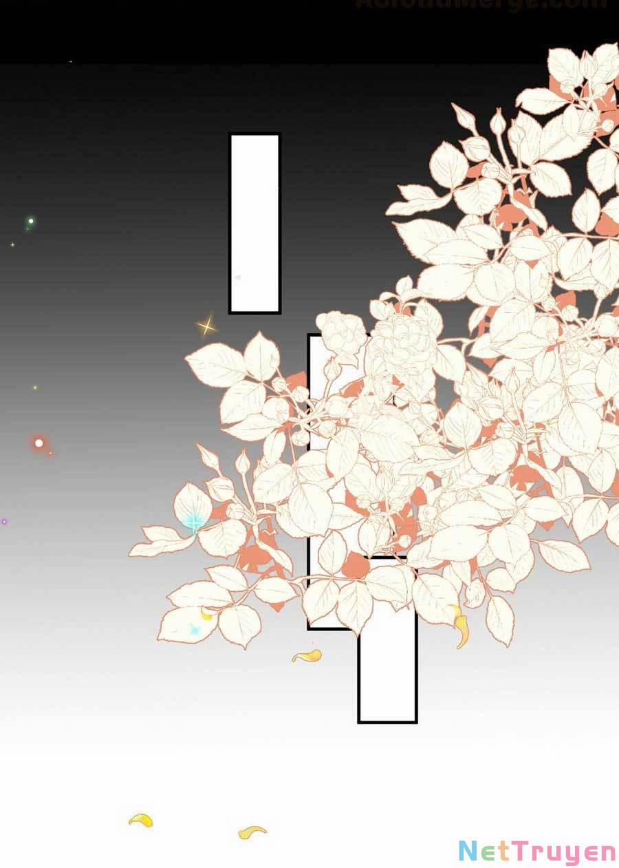 Ảnh Đế Làm Loạn Đòi Ly Hôn 64 trang 4