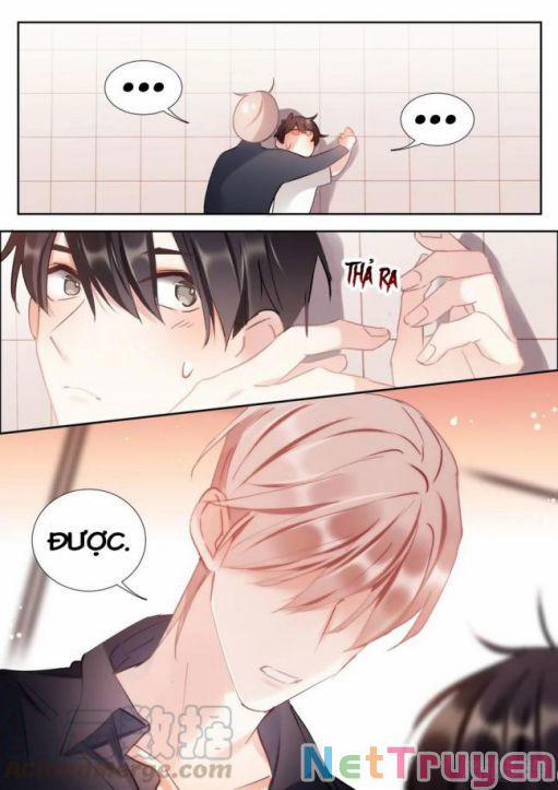 Ảnh Đế X Ảnh Đế 156 trang 12