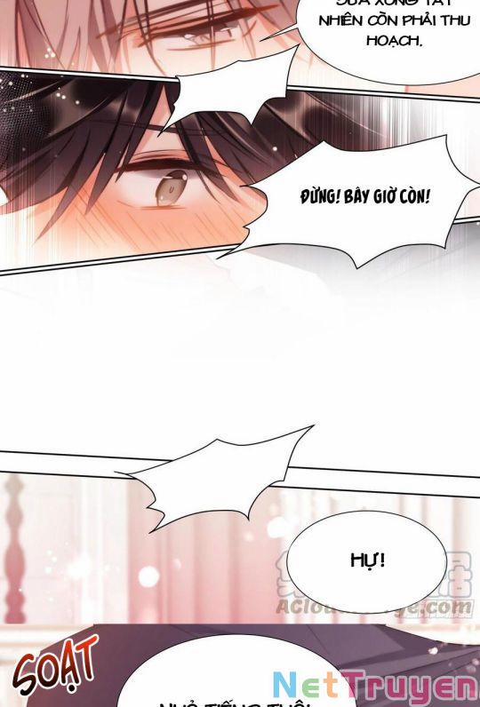 Ảnh Đế X Ảnh Đế 185 trang 3