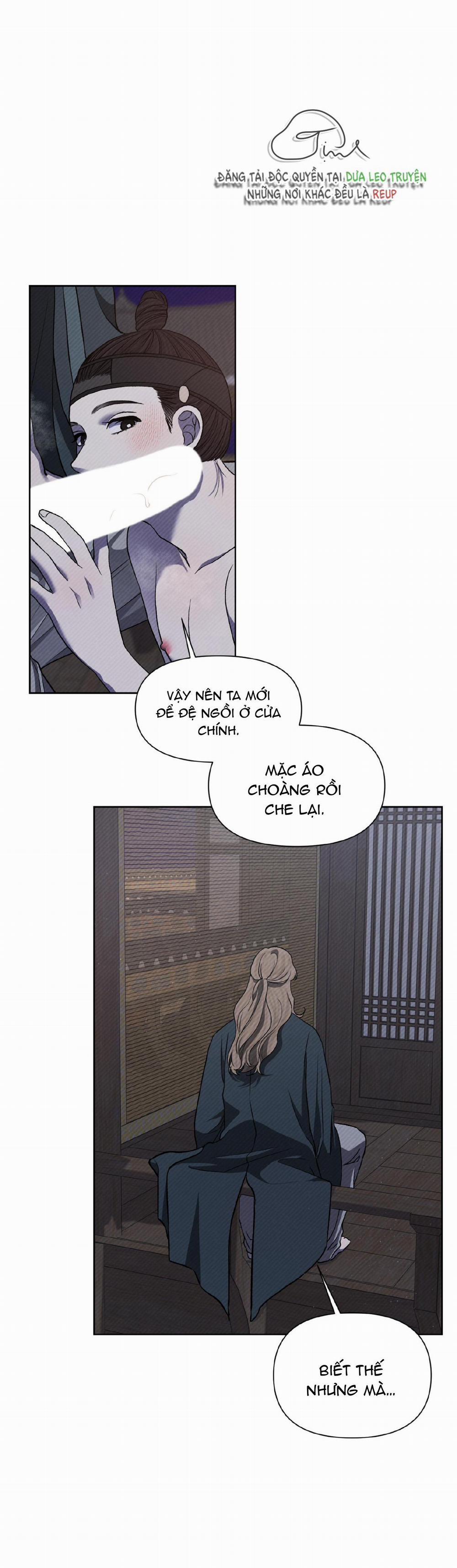 Ánh Đèn 8 trang 4