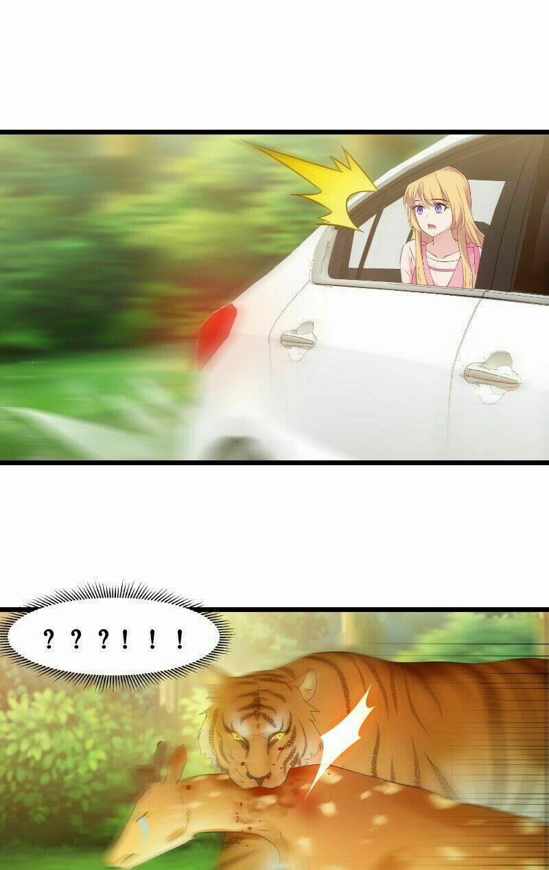 Ảnh Hậu Lão Bà Không Được Chạy 21 trang 6